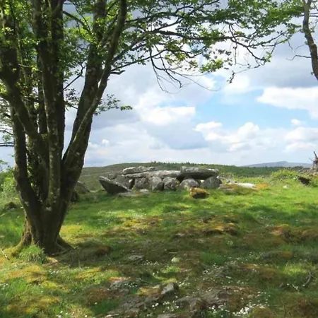 Camping Wood Glamping *