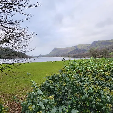 Wood Glamping Kemping