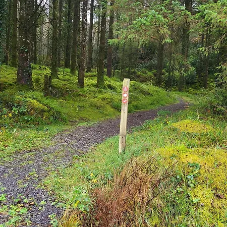 Wood Glamping Glenfarne