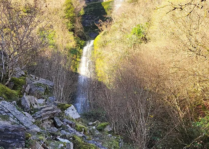 キャンプ場 Wood Glamping Glenfarne