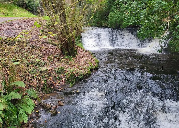 Кемпинг Wood Glamping Glenfarne