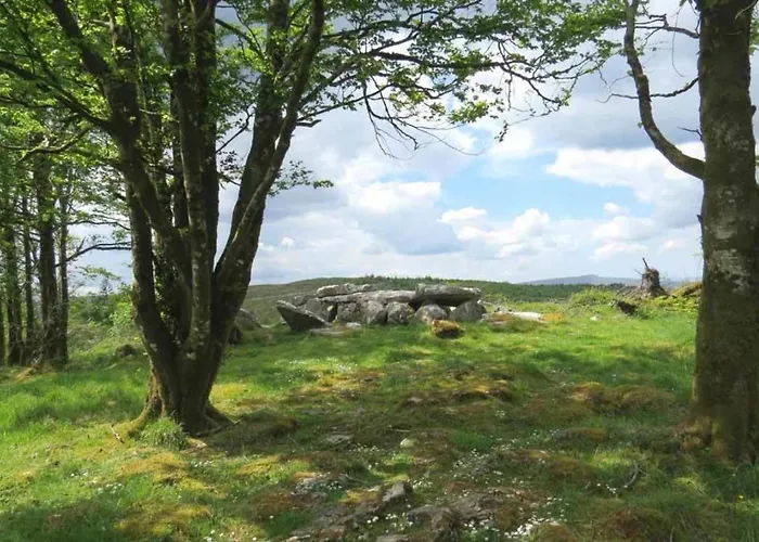 キャンプ場 Wood Glamping *