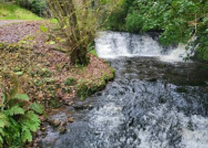 Wood Glamping Glenfarne