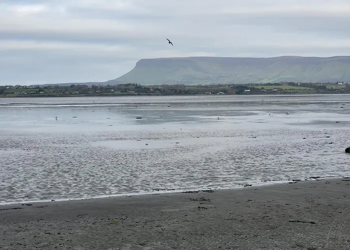 Wood Glamping Кемпинг *