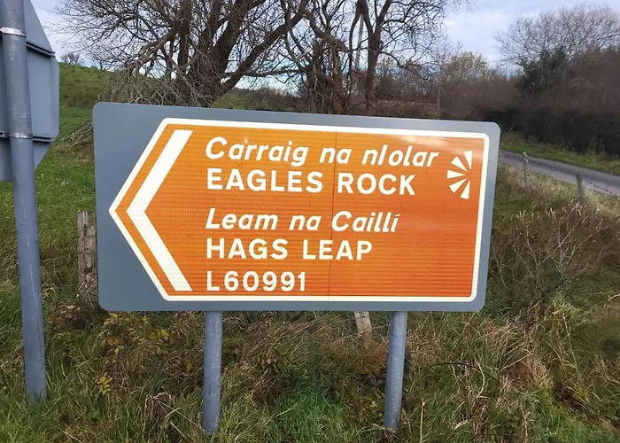 Wood Glamping Кемпинг