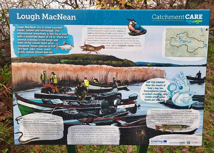 Кемпинг Wood Glamping *