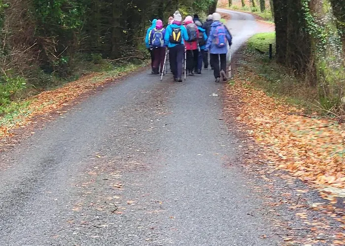 キャンプ場 Wood Glamping Glenfarne