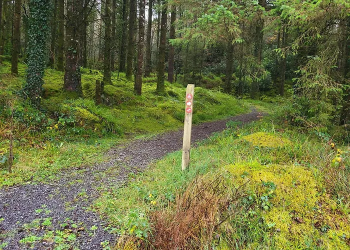 Wood Glamping Glenfarne