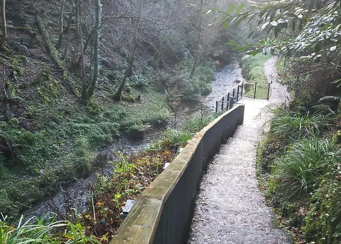 Кемпинг Wood Glamping *