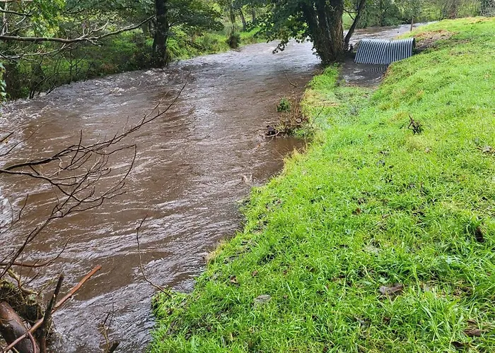 Wood Glamping Кемпинг *